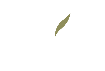 Calm Mind — Professional Consultancy Services